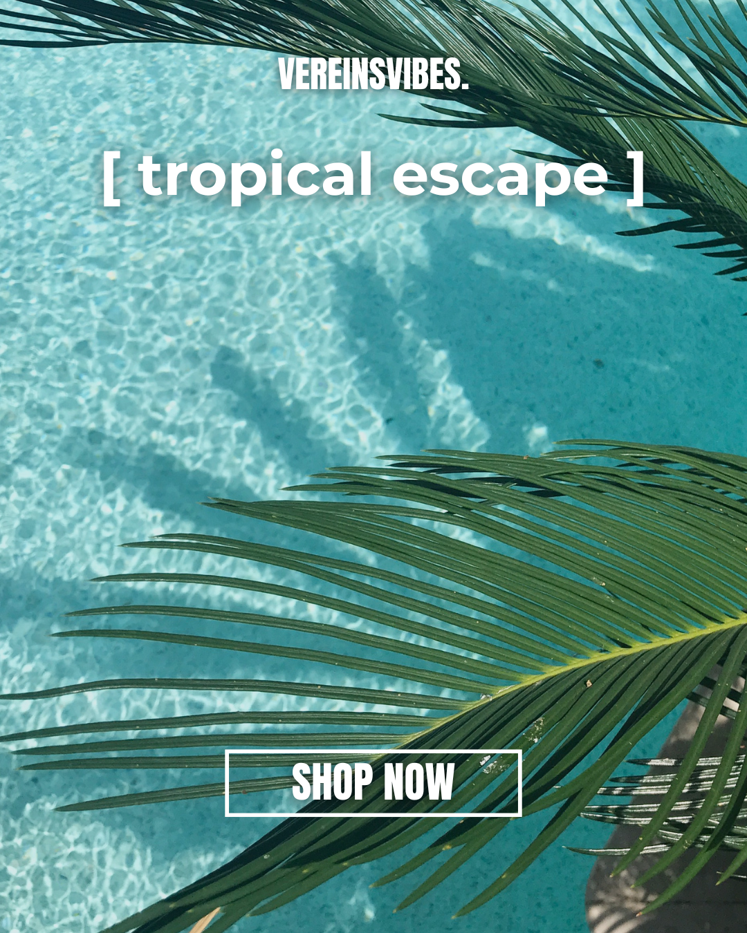 VEREINSVIBES x [ tropical escape ]